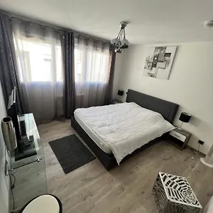 Superbe Plein Centre De Appartement